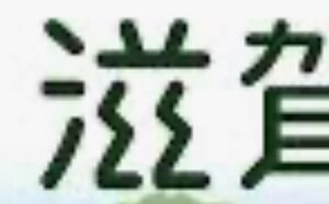 ゲジゲジ.jpg